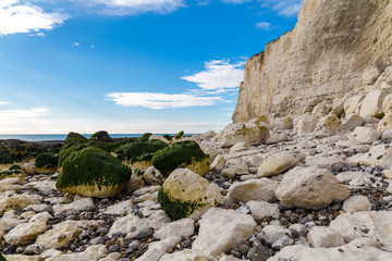 Fototapeta na wymiar Cliff and coast at Hope Gap, near Seaford, East Sussex, England, UK