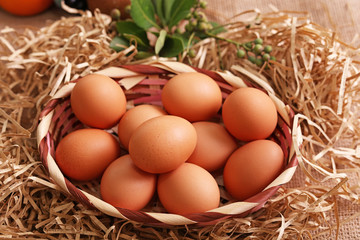 新鮮な卵