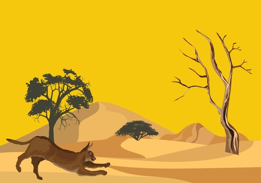 Middle asiand wild cat karakal on desert sands vector illustration
