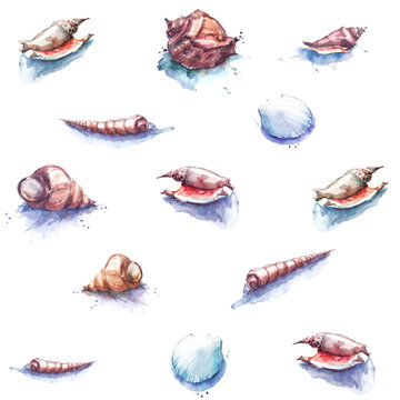 Seamless pattern with vintage watercolor drawing of seashells, shellfish.