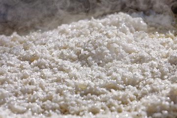 Obraz na płótnie Canvas rice
