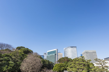 Fototapeta premium 緑の中の高層ビル