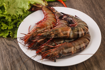 Raw big tiger prawn