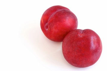 Fresh Plum on White Background