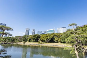Fototapeta premium 緑の中の高層ビル