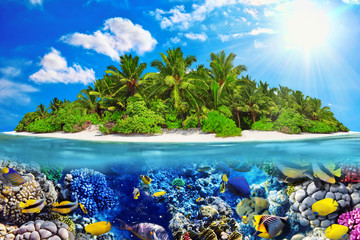 Tropical island in Ocean and beautiful underwater world.