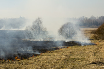 A spring fire. Burning grass. Field Smoke Background 