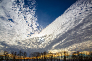 Sunset over the winter forest. Landscape to the horizon with a wonderful sky and giant clouds. Panorama of nature North.