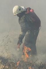 Fototapeta premium picture of firefighters battle a wildfire