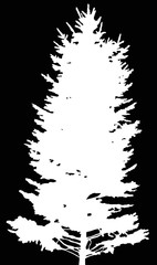 high fir white silhouette illustration