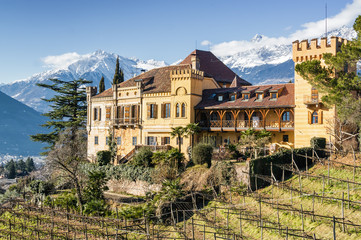 Fototapeta na wymiar Sunny view of vineyards valley of castle Ramets near Merano, Trentino-Alto-Adige region, Italy.