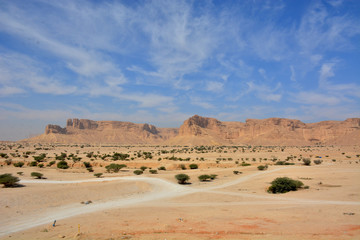Fototapeta na wymiar Photo of Red Sand in Riyadh Saudi Arabia