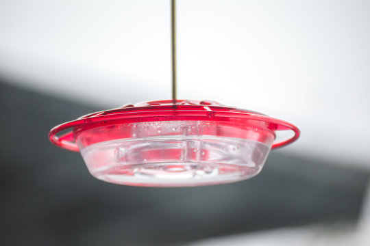 Clear plastic bird feeder with red top