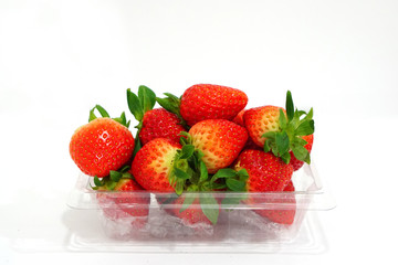 Fresh Strawberry 