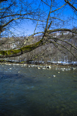 Obraz na płótnie Canvas Winter mountain river beautiful landscape