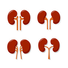 Kidney Collection