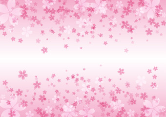 桜　背景のイメージイラスト