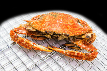 Boiled crab isolated on white background