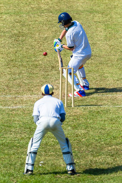 Cricket Batsman Ball Wicket Keeper  Game Action