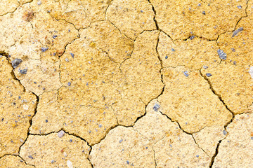 cracks in the dry land