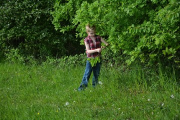 Fototapeta premium Kleiner blonder Junge steht auf grüner Wiese und bricht Zweig vom Baum ab