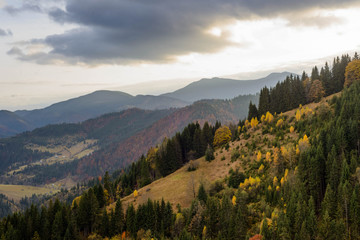 Golden autumn in the mountains
