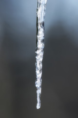 Long icicle with soft blue background 