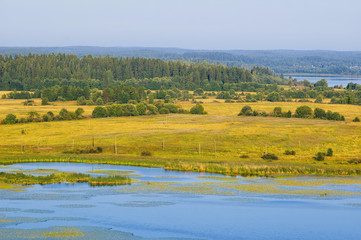 Summer forest, field and lake landscape (Karelia, Russia)