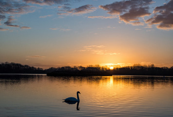 Priory Country Park, Bedford, England