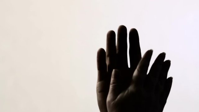 Silhouette of two hands on a background of blossom flower
