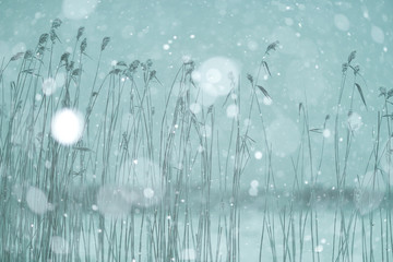 frozen lake in winter background