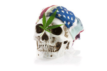 Still life of human skull, cannabis leaf and flag on white background