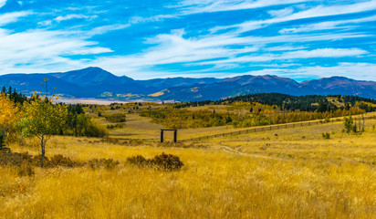 Fototapeta premium Golden Foliage in Autumn, Southpark Colorado 