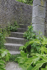 A bricks stairs among the green foliage in a park, Maastricht 1