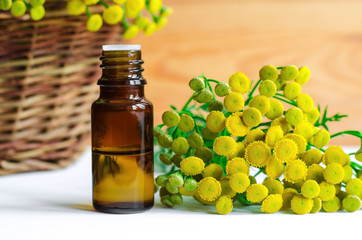 Small bottle of essential tansy oil