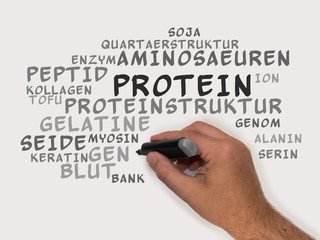Protein