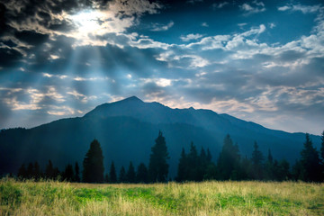 Obraz premium Green grass near mountain at night