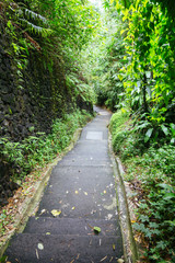 Fototapeta na wymiar Green Dark Tropical Jungle pathway (Bali, Indonesia)