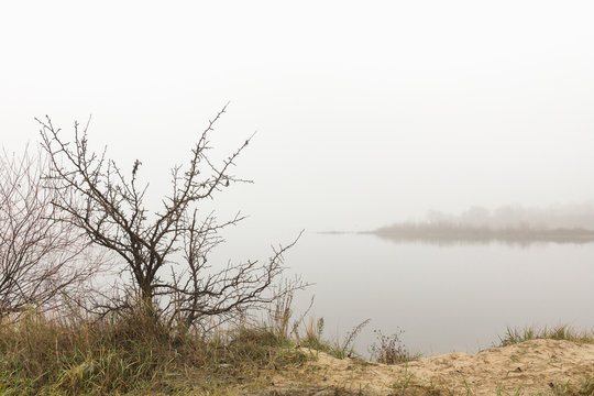 fog on forest lake in early spring