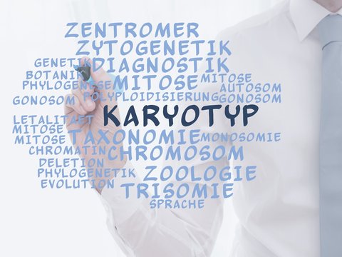 Karyotyp