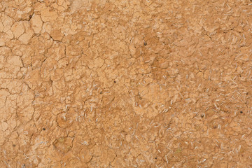 old earth wall with husk