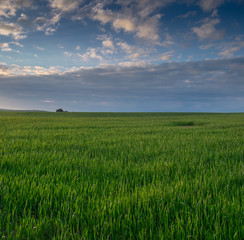 Large panoramic view of amazing beautiful sunset on infinity green fields after rainy day