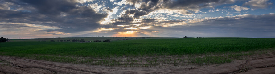 Large panoramic view of amazing beautiful sunset on infinity green fields after rainy day