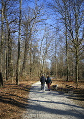 Fototapeta premium Spaziergang im Park mit Hund