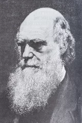 Foto op Aluminium Portrait of the scientist philosopher Charles Darwin © caifas