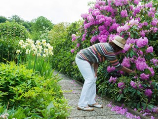 Frau bei der Gartenpflege mit Rhododendron