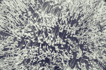 winter, grass covered with white rime