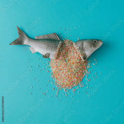 "Fish cut in half with colorful sprinkles. Minimal food concept. Flat