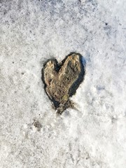 Frozen heart
