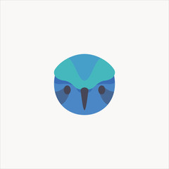 Colibri bird icon flat design